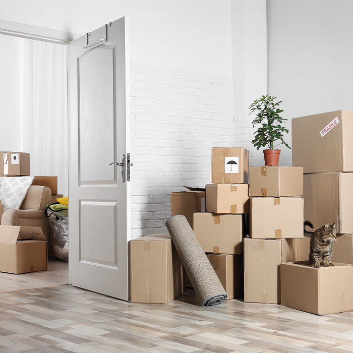 house-with-boxes-spring-tx.jpg